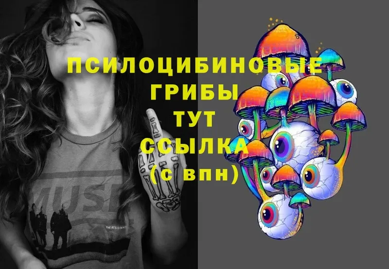 Псилоцибиновые грибы Psilocybe  Нижнеудинск 